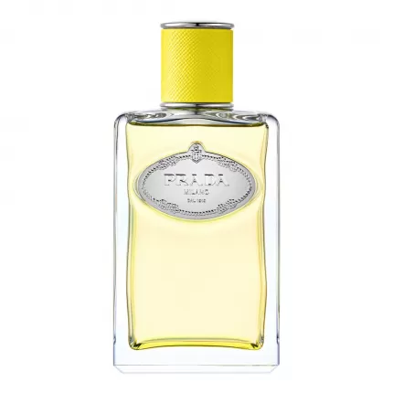 Prada Infusion D