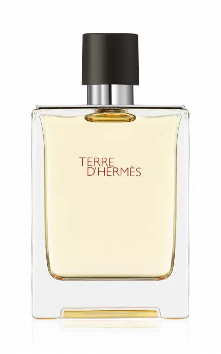 Hermes Terre D