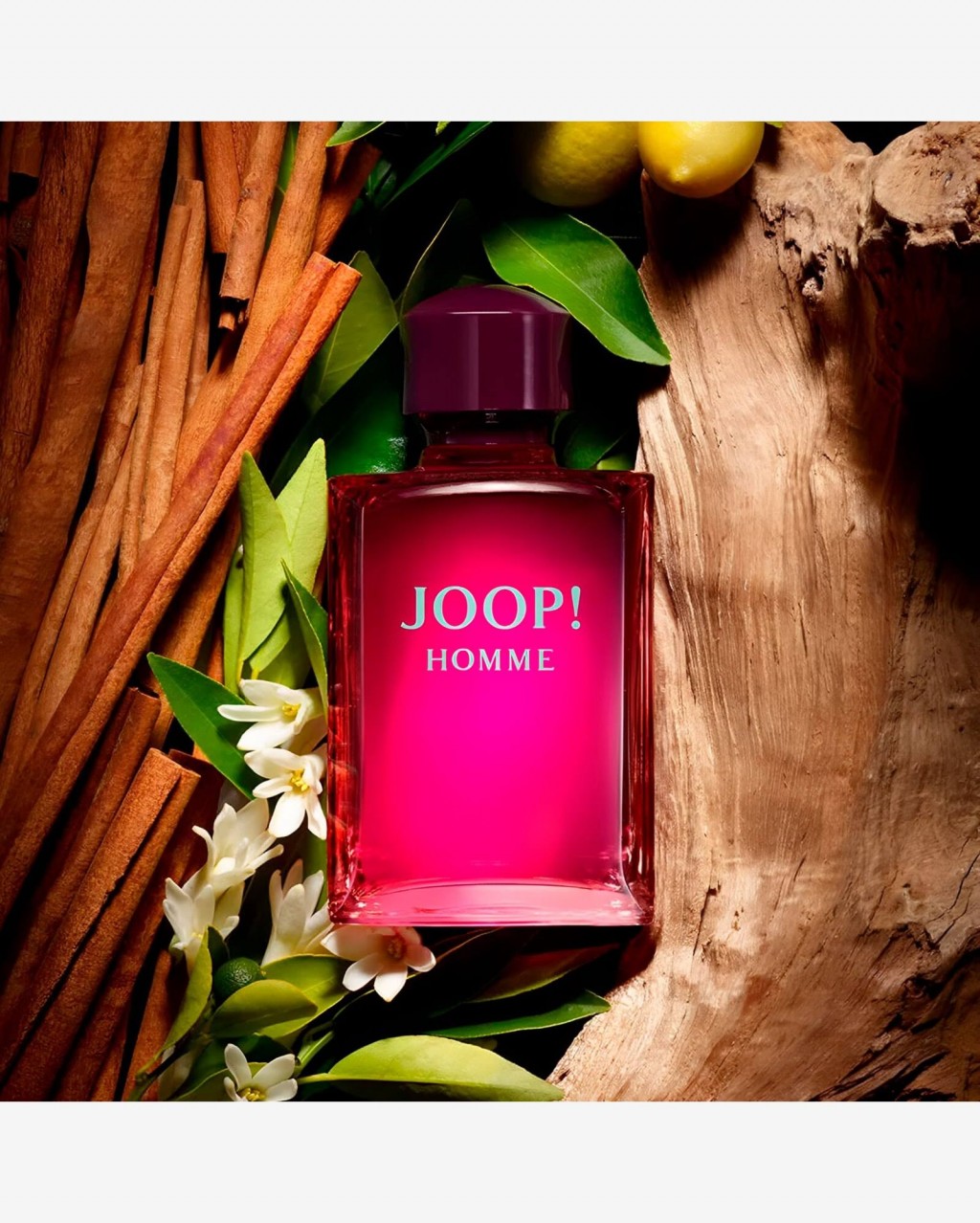Joop Homme Eau De Toilette Spray for Men - 4.2 fl oz bottle
