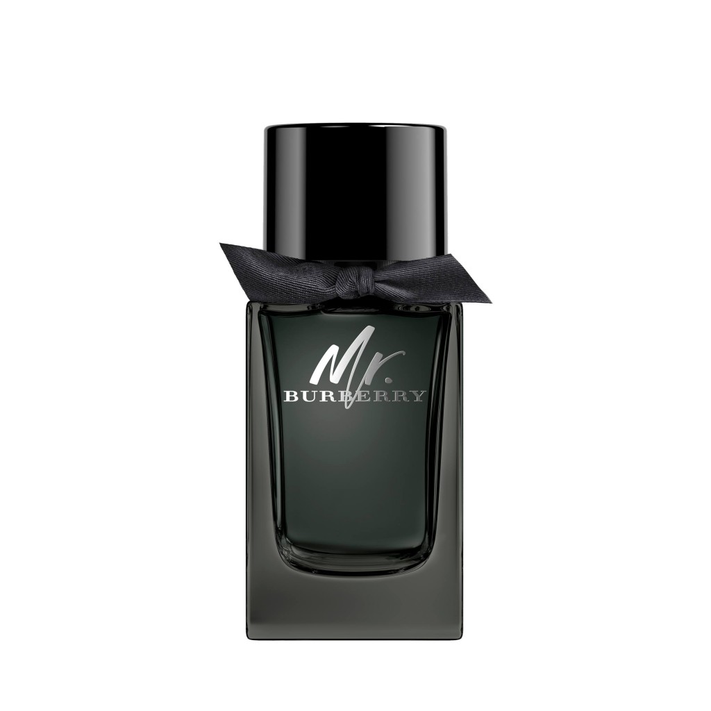 Burberry Mr Burberry 3.3 oz Eau de Parfum Spray